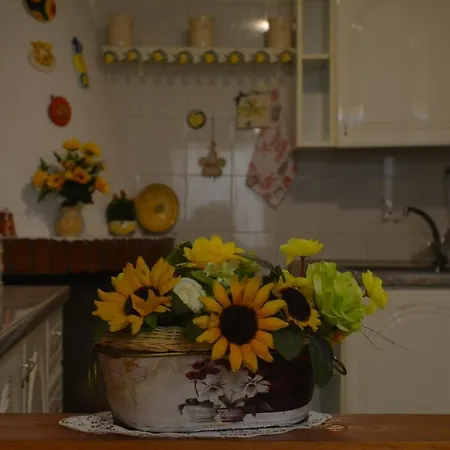 I Girasoli *